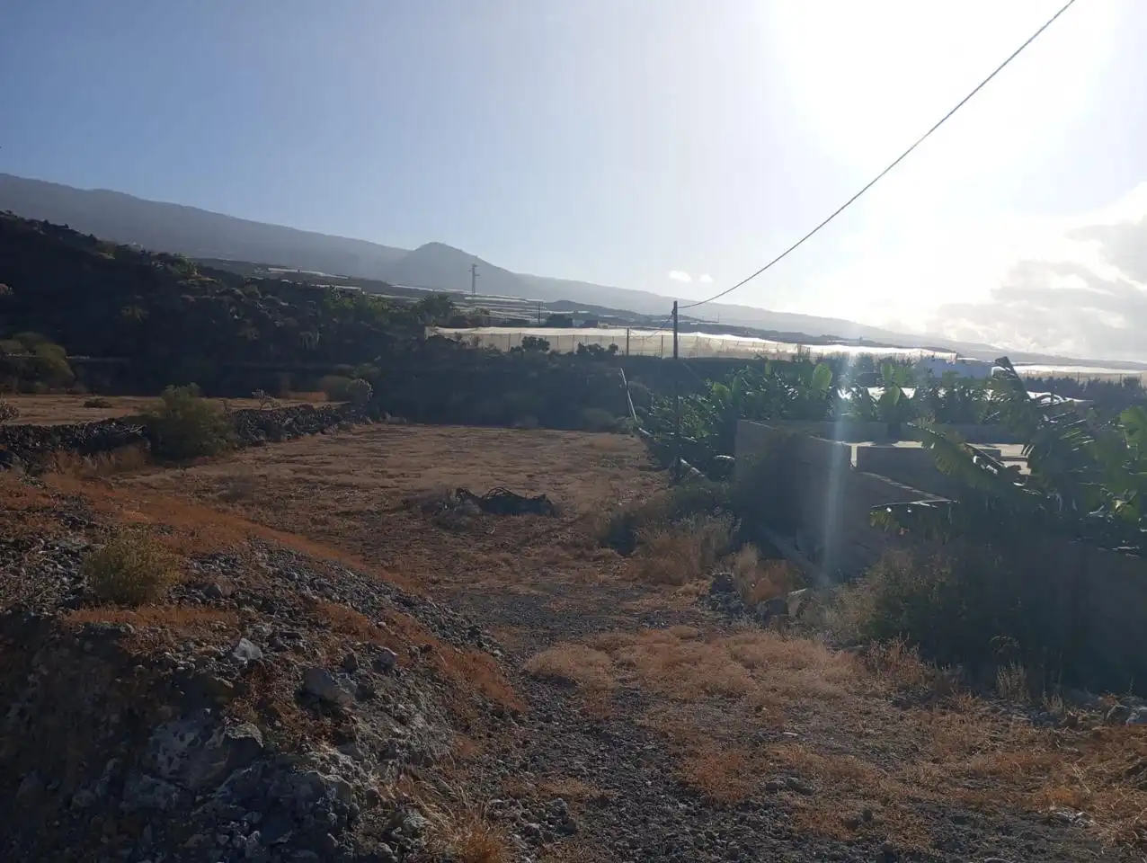 Rural land for sale in Alcalá, imagen 9
