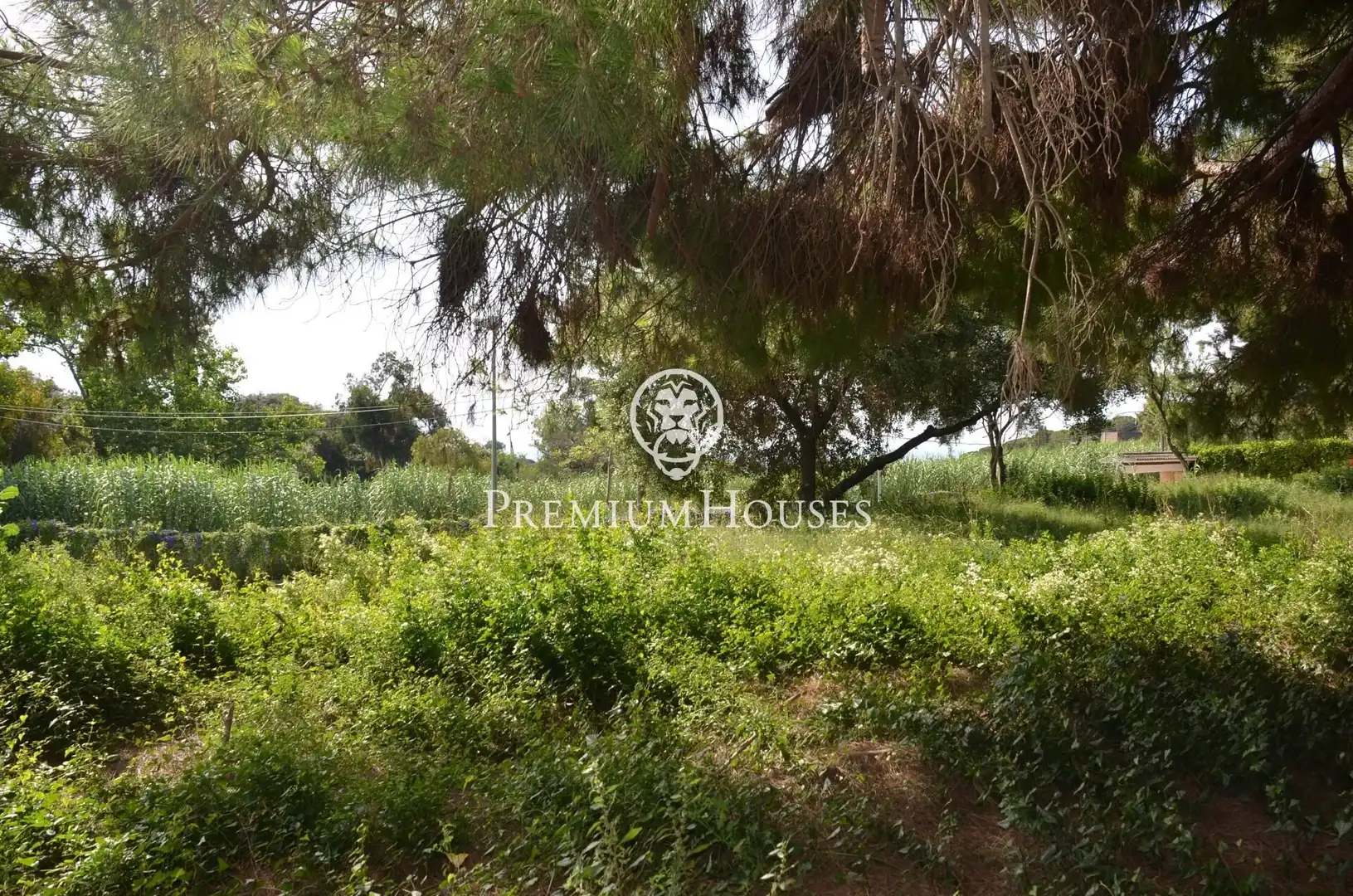Residential land for sale in Cabrera de Mar, imagen 5