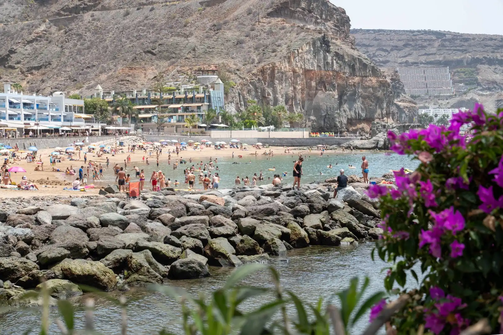 Finca rústica en venta en Playa de Mogán