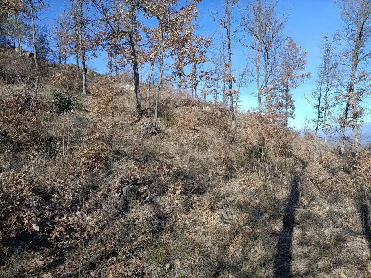 Land for sale in Muntanyola