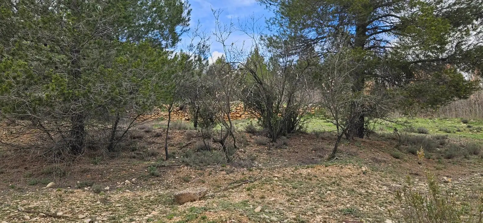 Terreno en venta en Las Parras de Castellote