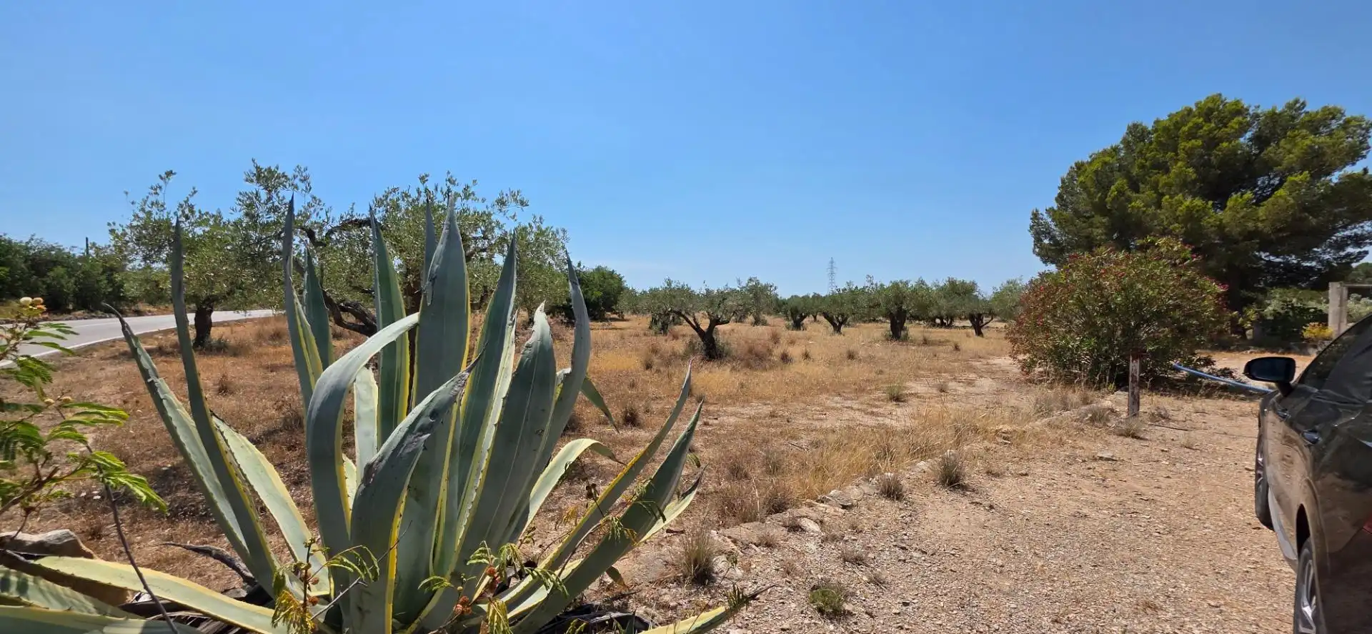 Maison rustique à vendre à L'Ametlla de Mar pueblo, imagen 23