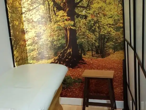 Habitación de Local de alquiler en Madrid con Parquet