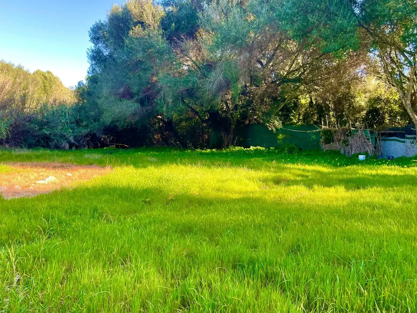 Houses for sale in La Línea de la Concepción