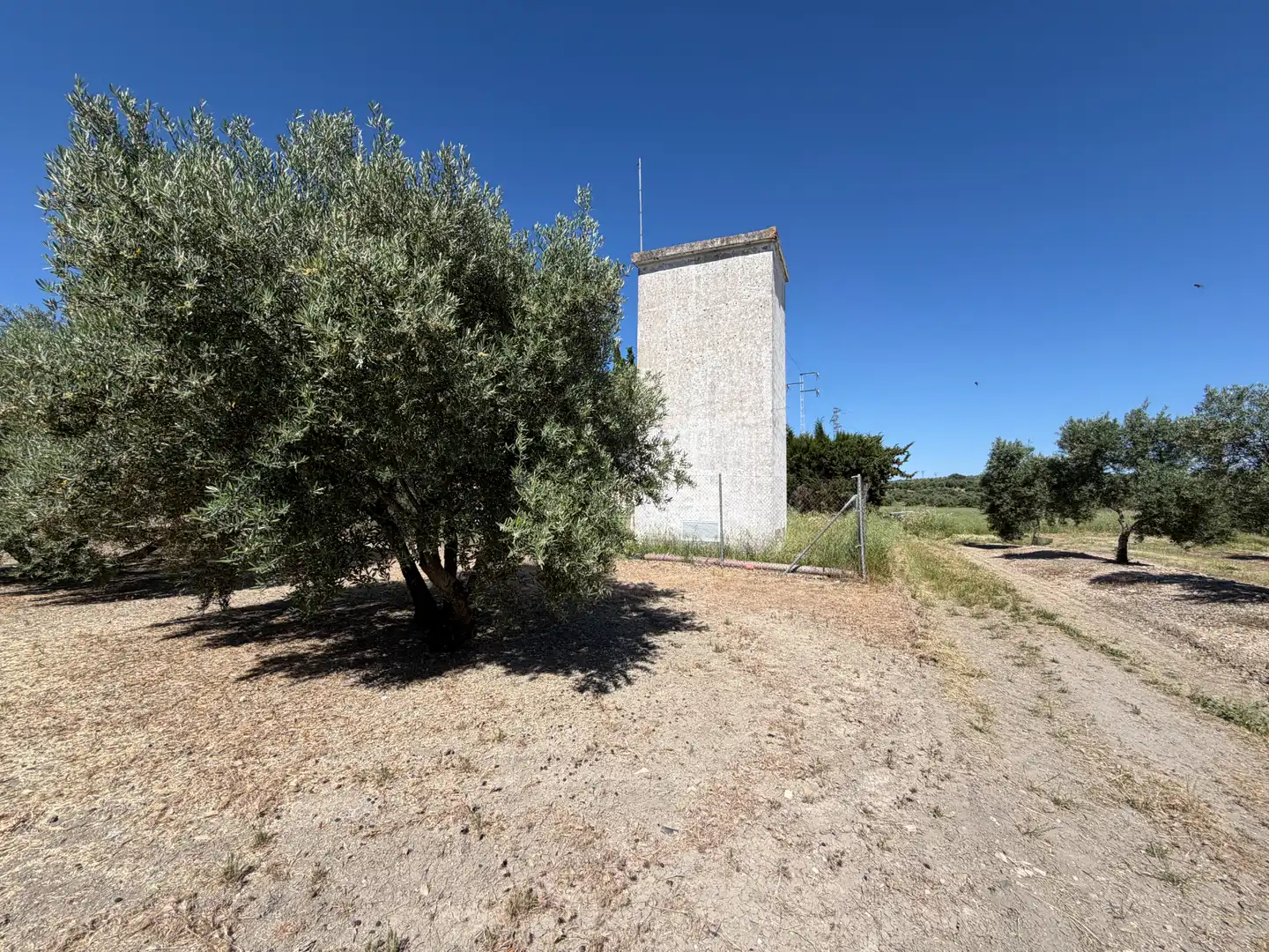 Terrenos y solares en venta en Carretera, imagen 10