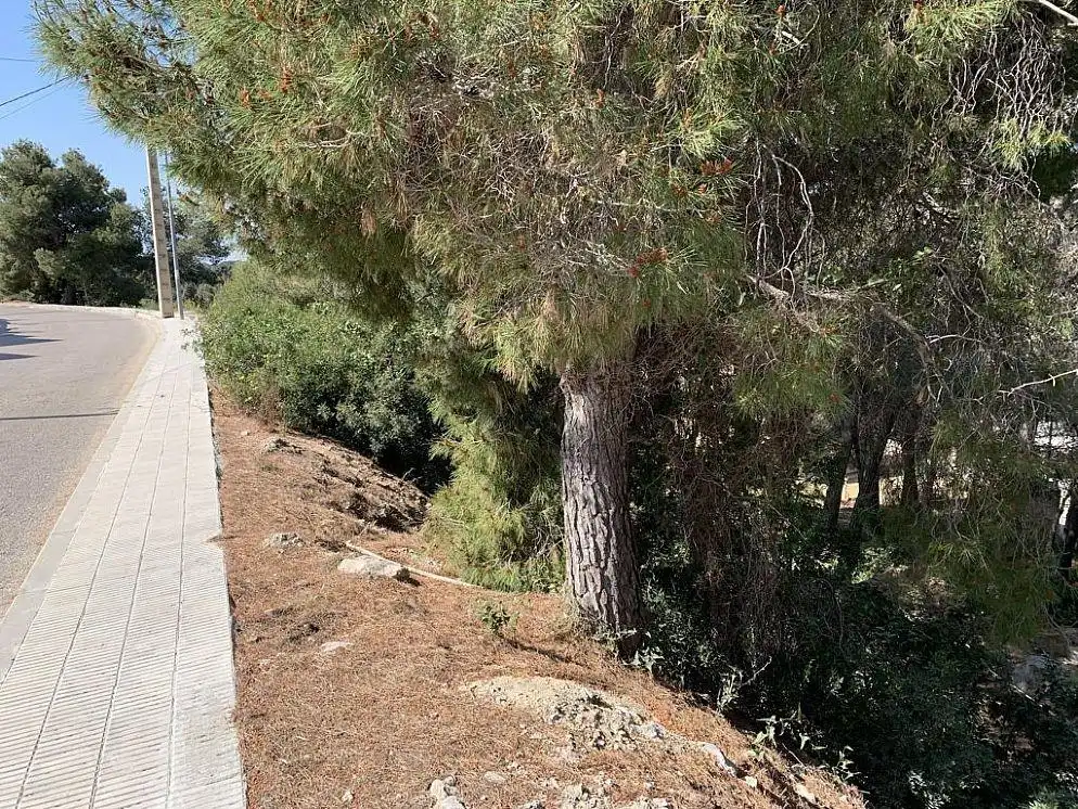 Residential land for sale in Carrer de la Petúnia, imagen 7