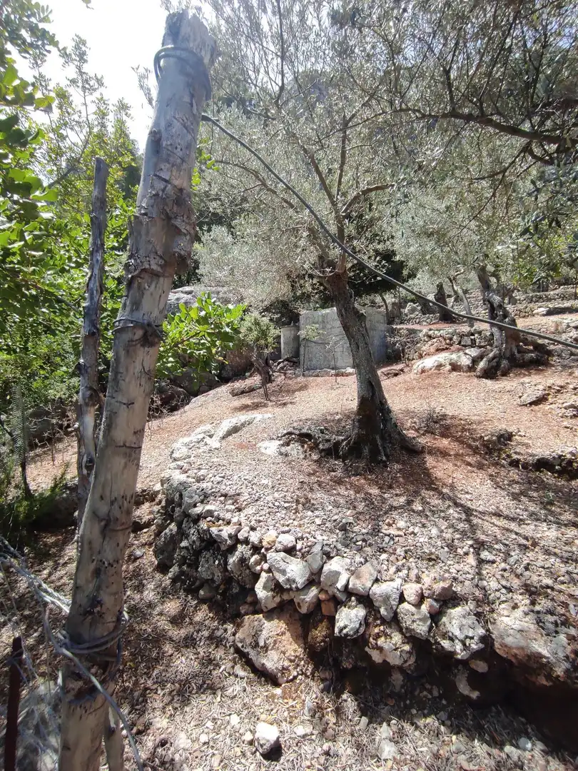 Finca rústica en venda en Fornalutx amb Jardí privat, Terrassa i Traster