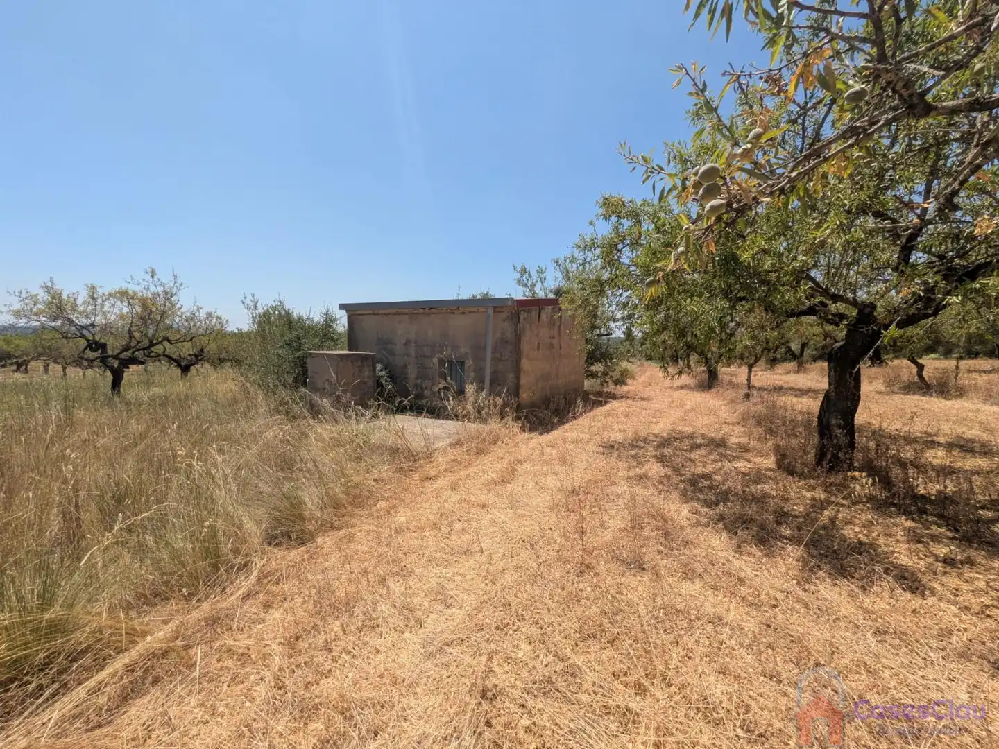 Finca rústica en venta en Vilanova d'Alcolea