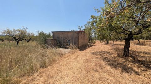 Photo 2 of Country homes for sale in 8, Vilanova d'Alcolea, Castellón