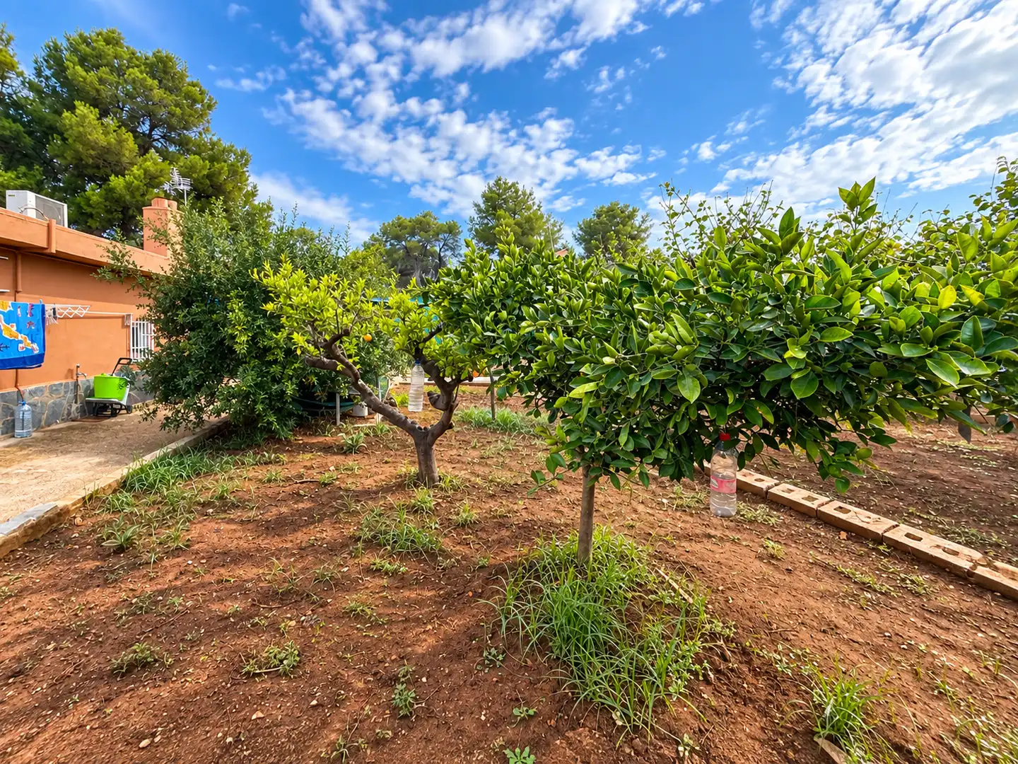 Villa mit Pool zum Verkauf in Vuela de los Pinos 5, imagen 13