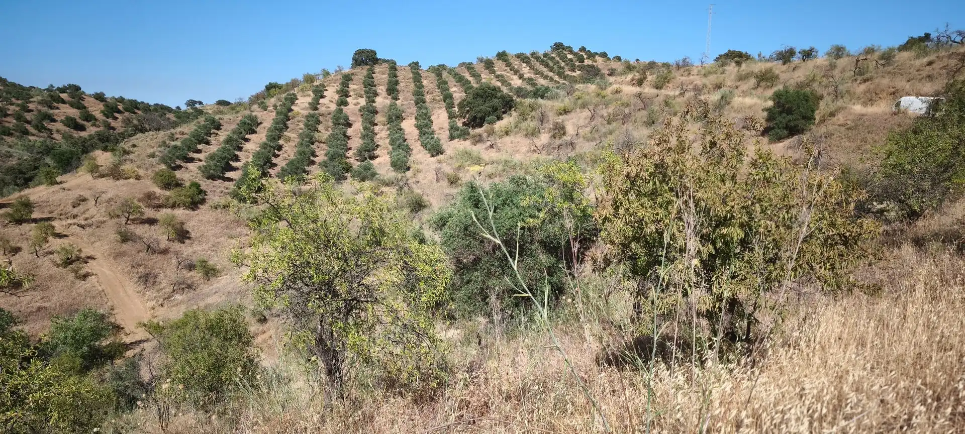 Terreni e lotti in vendita a Pizarra, imagen 10