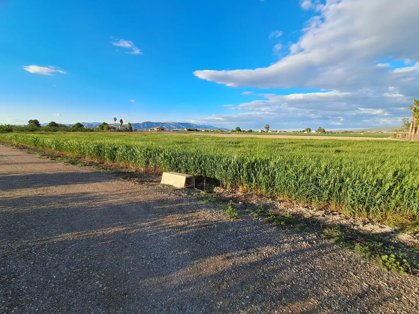 Terrenos y solares en venta en Lorca Ciudad, imagen 6