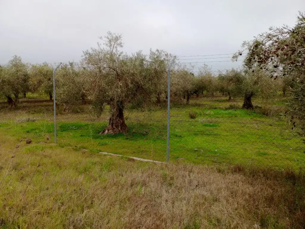 Terreni e lotti in vendita a Mengabril, imagen 5