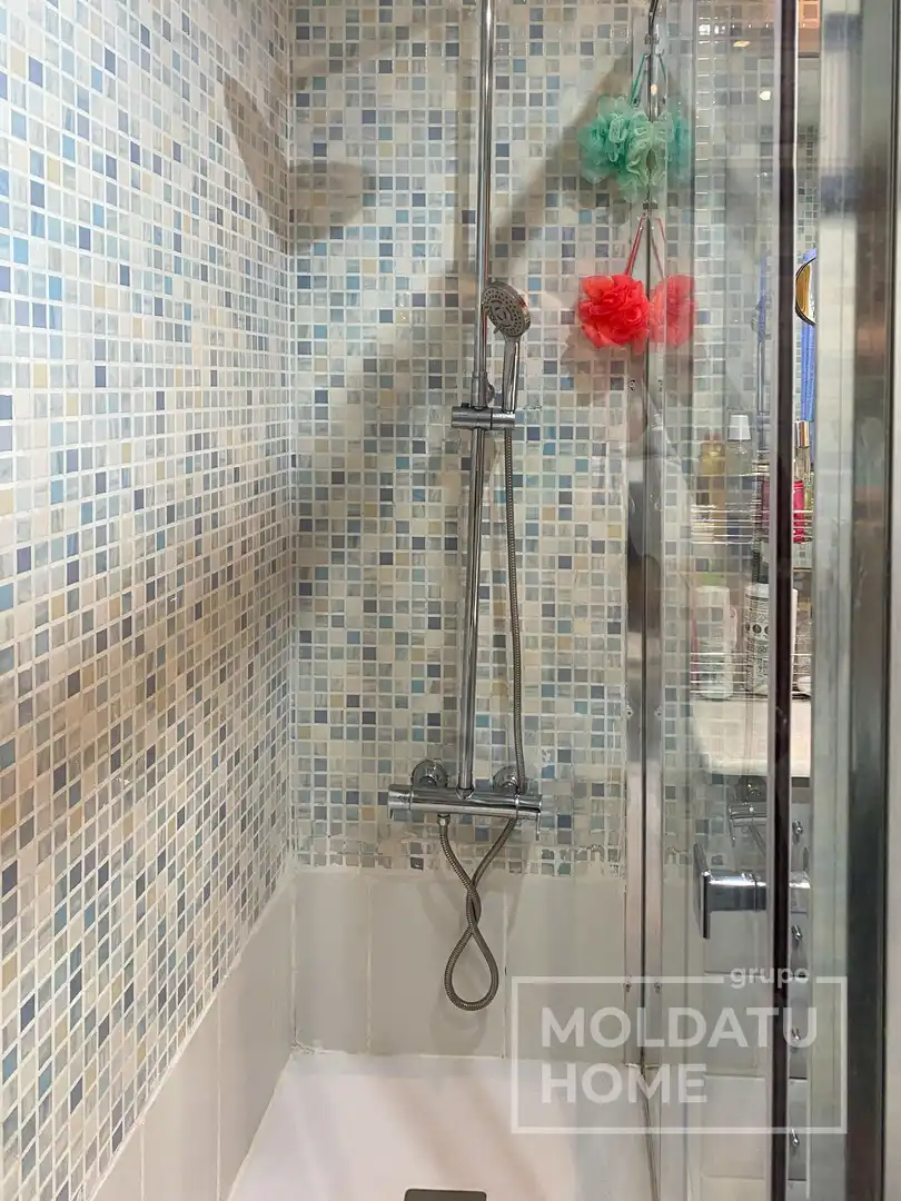 Duplex with lift for sale in Buztintxuri, imagen 50