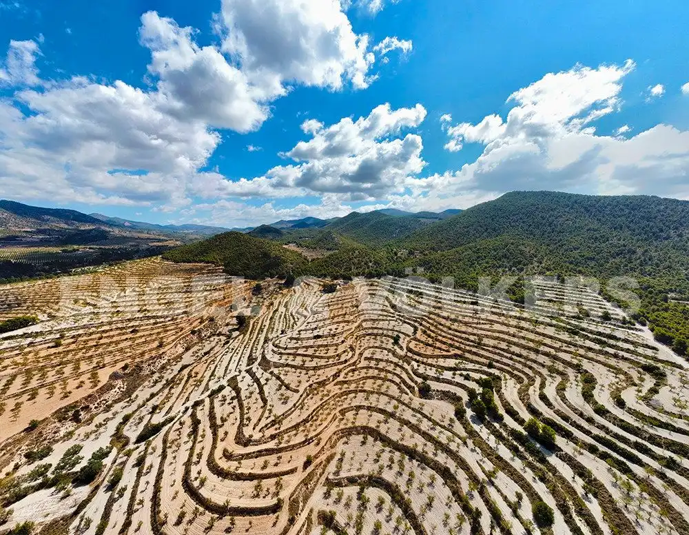 Vista exterior de Finca rústica en venta en Jijona / Xixona