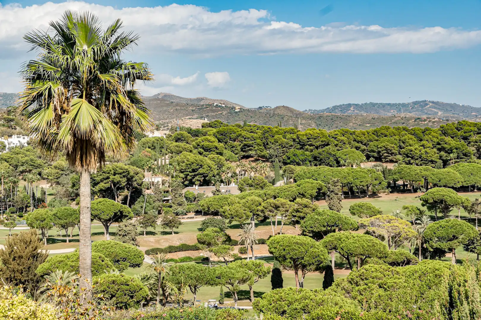 Vista exterior de Casa o xalet de lloguer en Marbella amb Aire condicionat, Jardí privat i Parquet