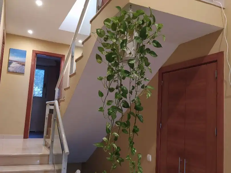 Casa o chalet en venta en El Casar, Guadalajara