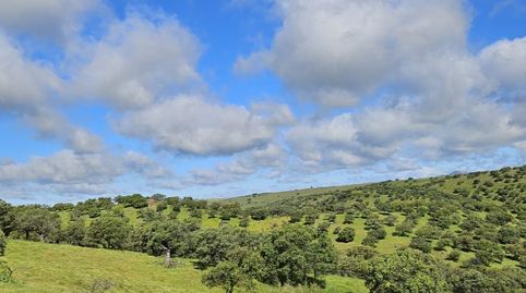 Finca rústica en Siruela, immagine 3