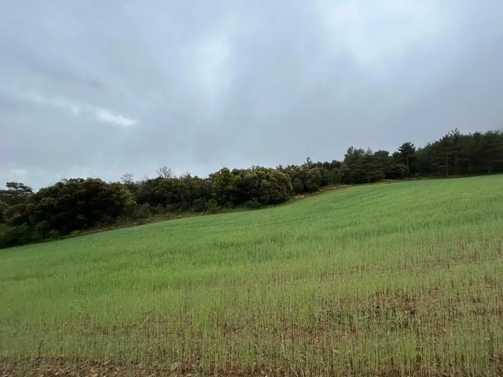 Country homes for sale in El Toro