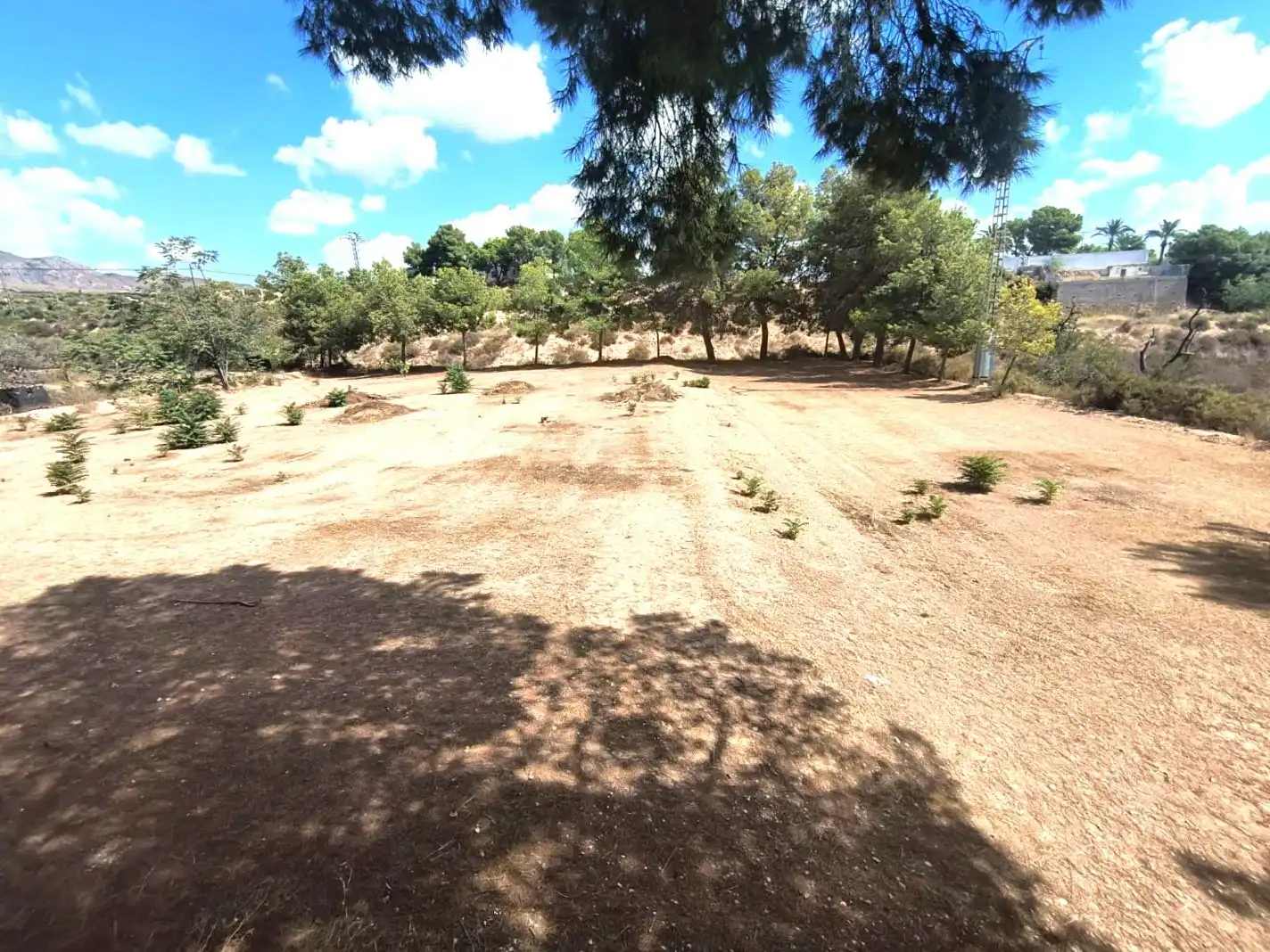 Casa o xalet en venda en Crevillent amb Aire condicionat, Terrassa i Piscina