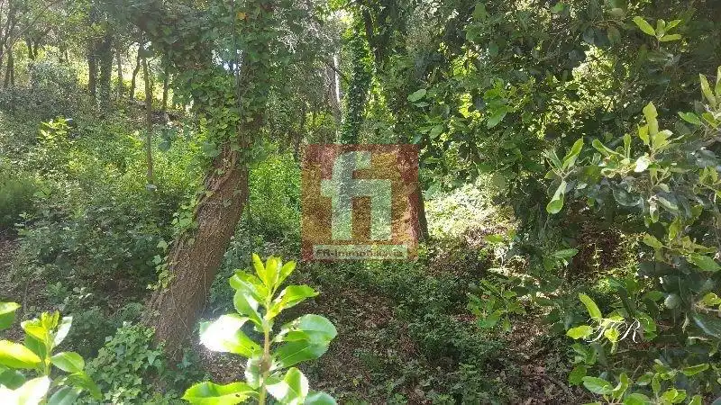 Terrenys i solars en venda a El Racó - Sant Feliu del Racó, imagen 18