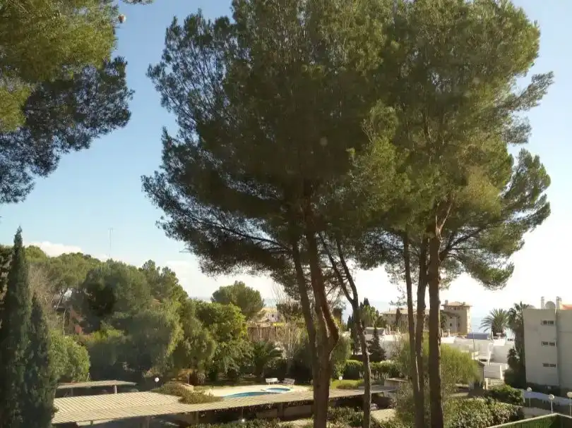 Vista exterior de Piso de alquiler en Calvià con Aire acondicionado, Trastero y Piscina