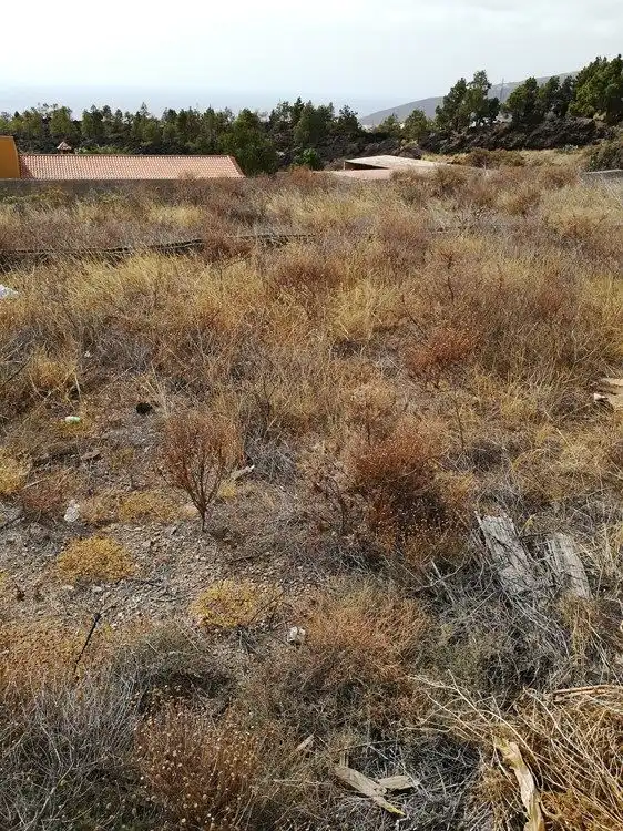 Country house for sale in Arafo, imagen 2