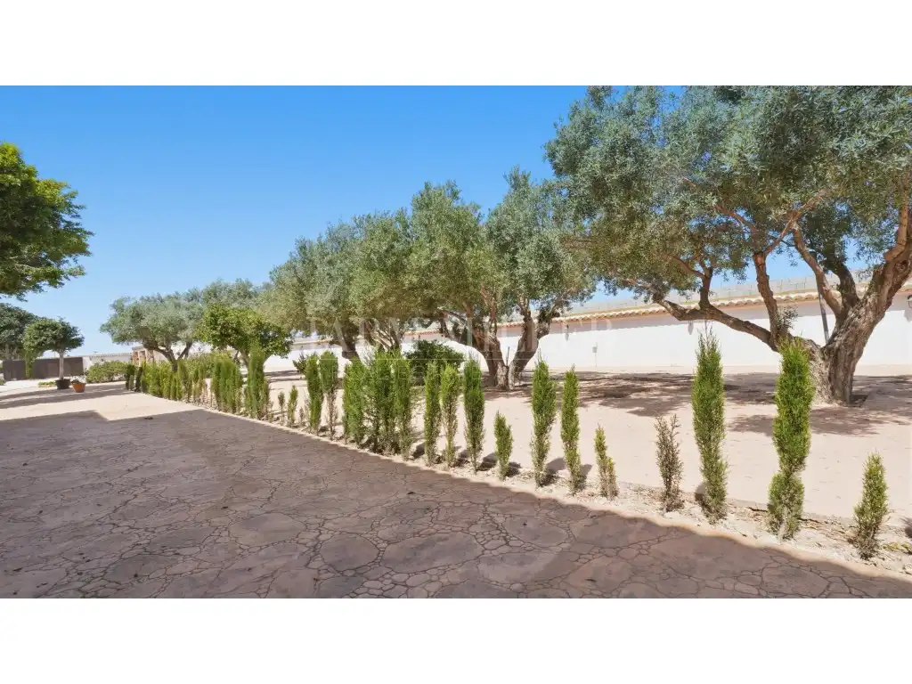 Maison avec jardin à vendre à Dolores, imagen 90