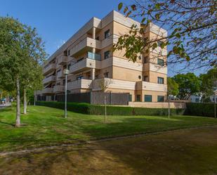 Vista exterior de Àtic en venda en Jerez de la Frontera amb Aire condicionat, Jardí privat i Terrassa