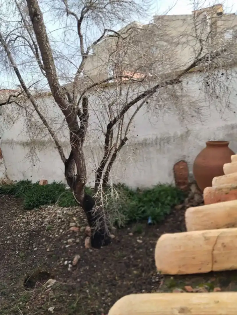 Jardí de Casa adosada en venda en Pedro Muñoz