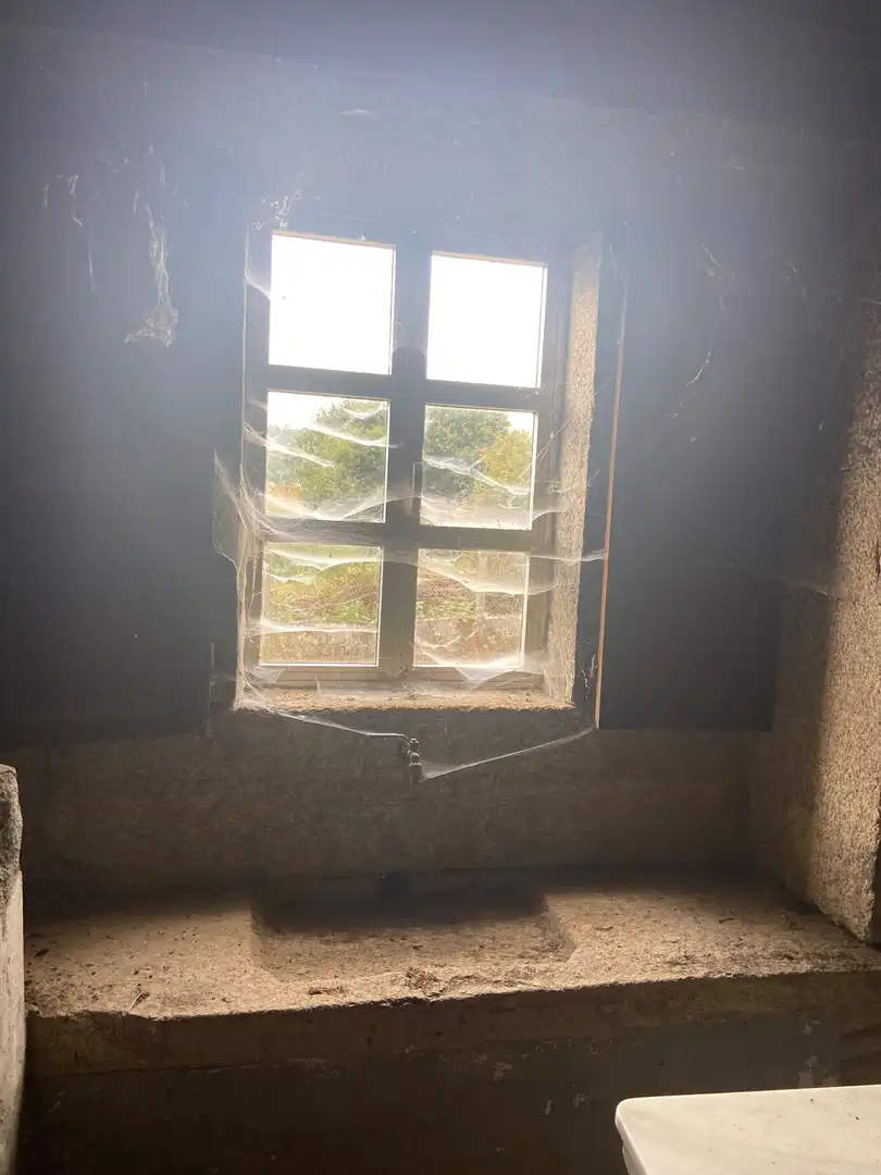 Finca rústica en venta en Rodeiro