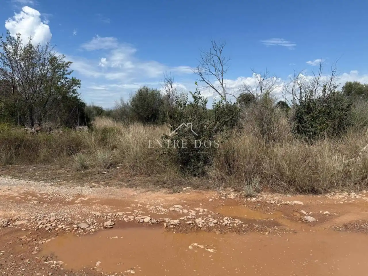Terreny rústic en venda a Poligono POLIGONO 4 PARCELA 783