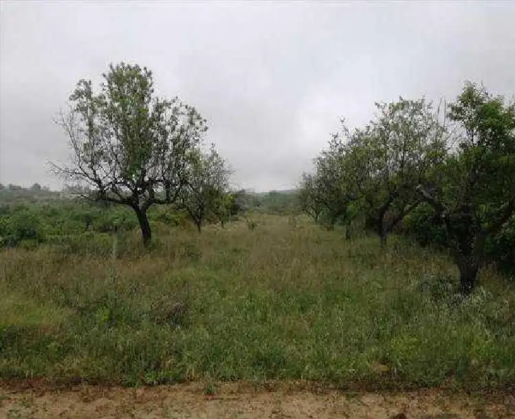 Terreno rústico en venta en Albocàsser, imagen 5