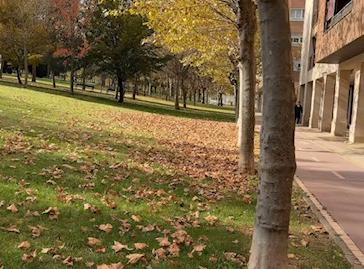 Photo 2 of Flat for sale in San Adrián, La Rioja