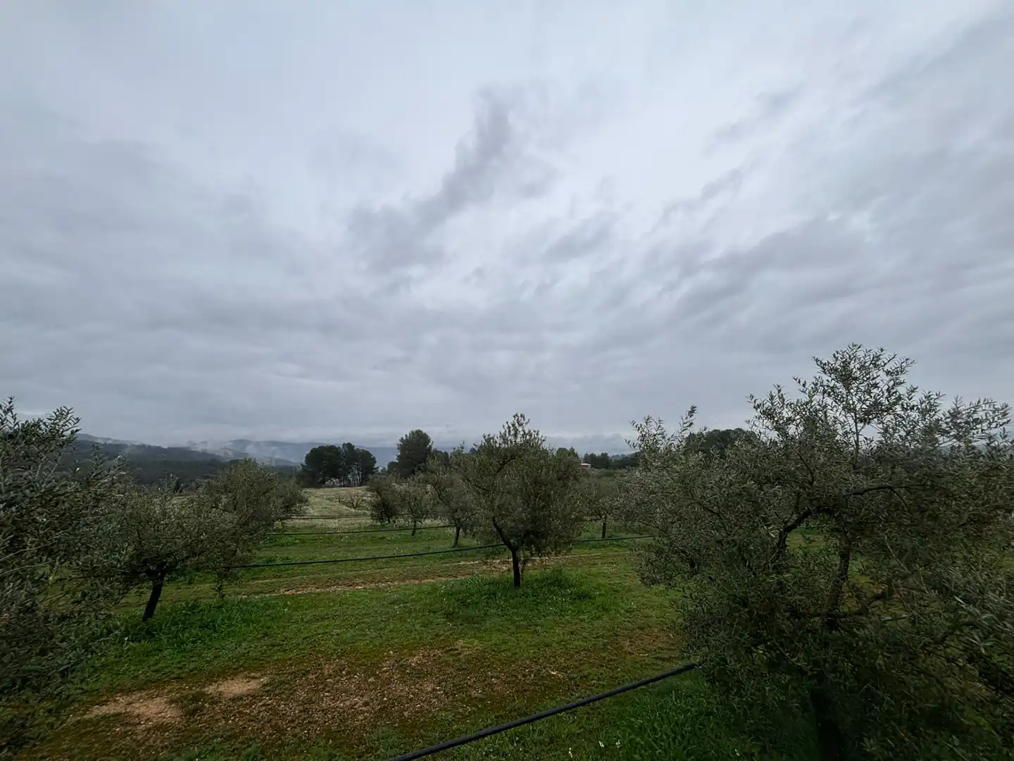 Rustikales Grundstück zum Verkauf in Móra d'Ebre, imagen 9