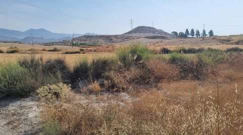 Magnífica Finca Rústica en Venta  Carretera de Mula Ojos, immagine 4