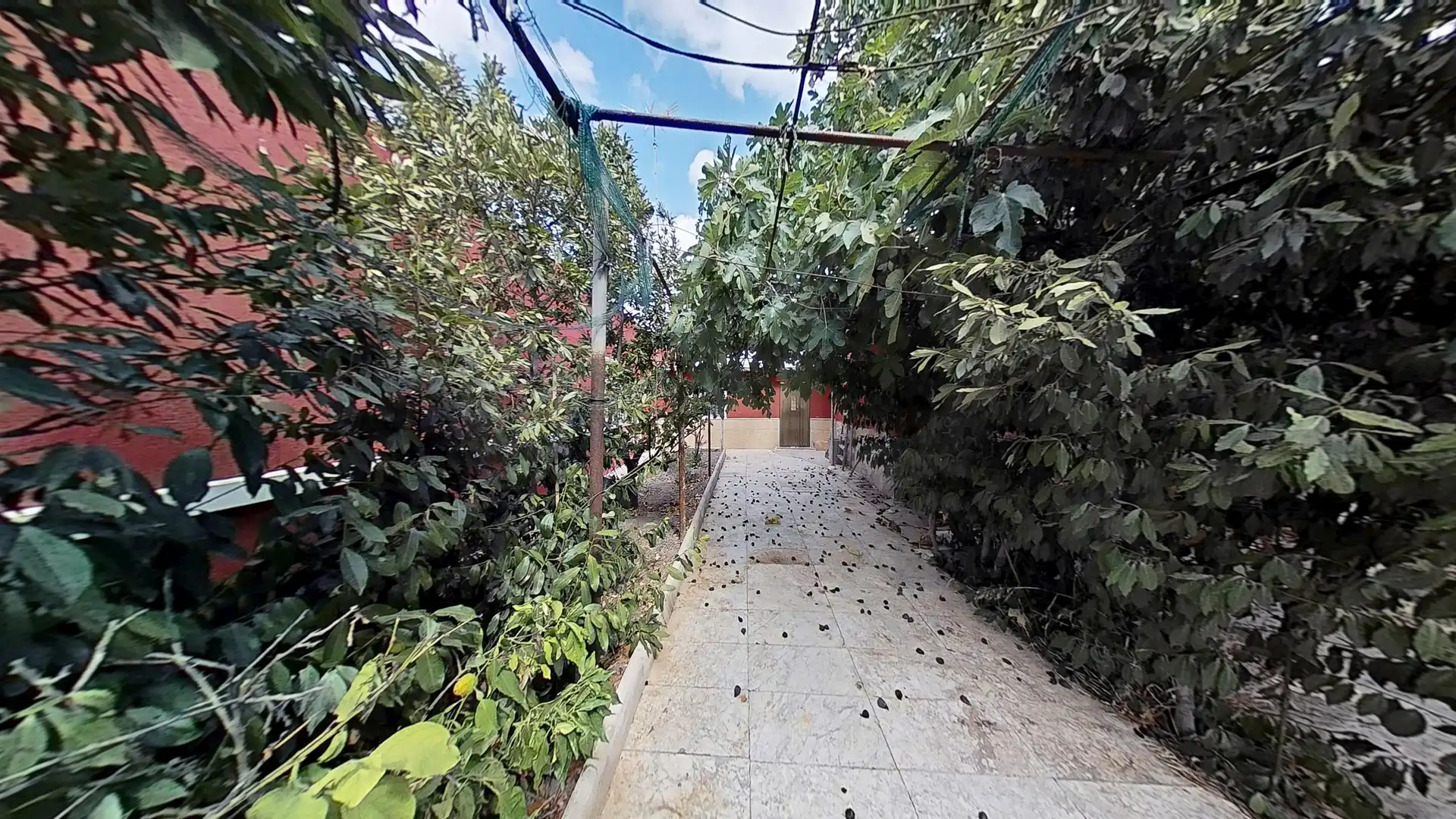 Maison avec piscine à vendre à Hondón de los Frailes, imagen 21