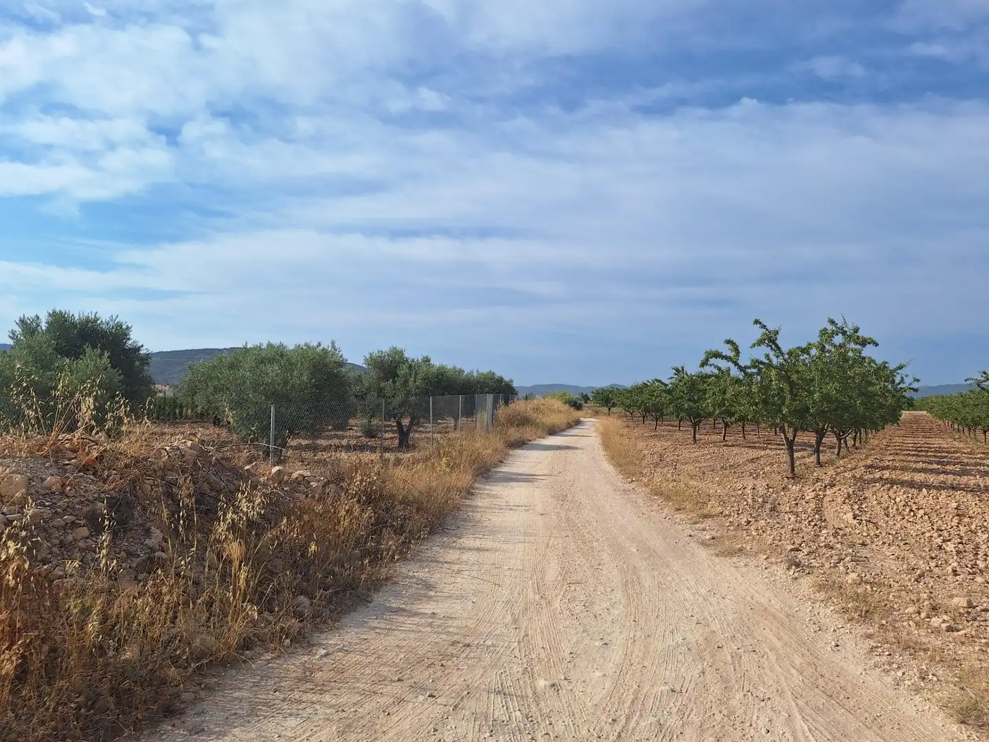 Terreno rústico en venta en El Pinós / Pinoso, imagen 2