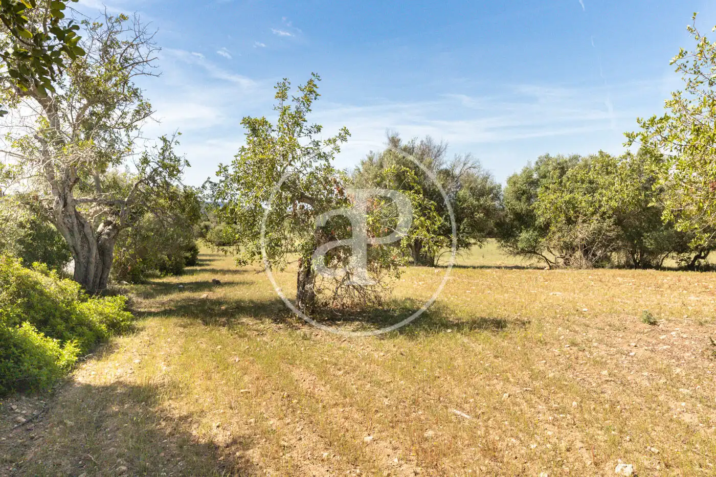 Residencial en venta en Felanitx
