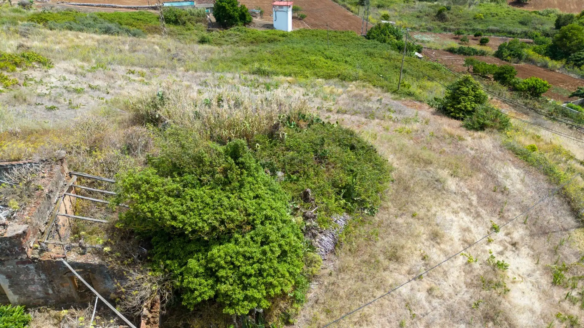 Lands and plots for sale in Tegueste, imagen 9