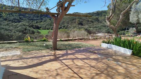 Foto 3 de Finca rústica en venta en Ferreries poble, Illes Balears
