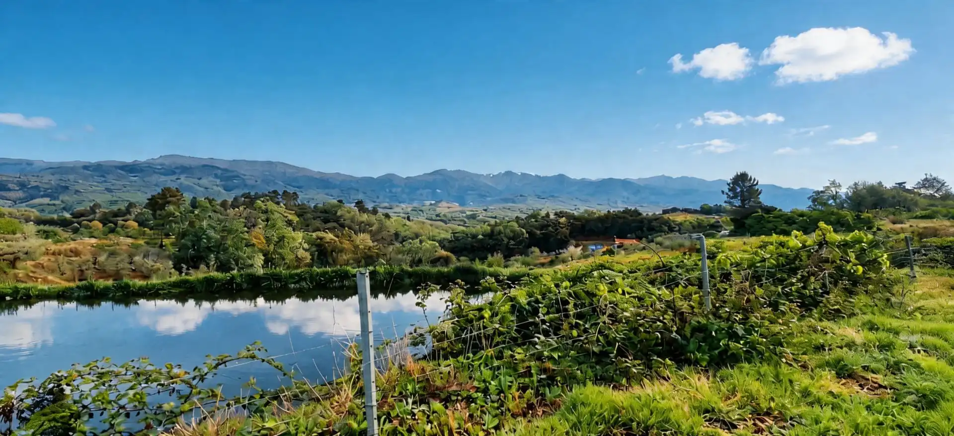 Vista exterior de Terreno en venta en Jaraíz de la Vera