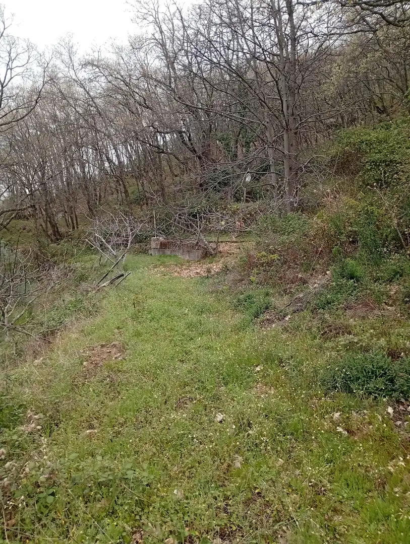 Terreni e lotti in vendita a Valverde de la Vera, imagen 40