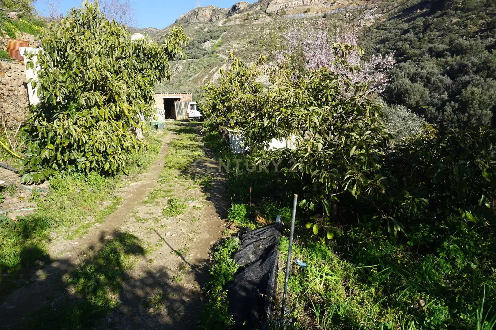 Terreni e lotti in vendita a WG79+QW Lanjarón, Spain, imagen 17