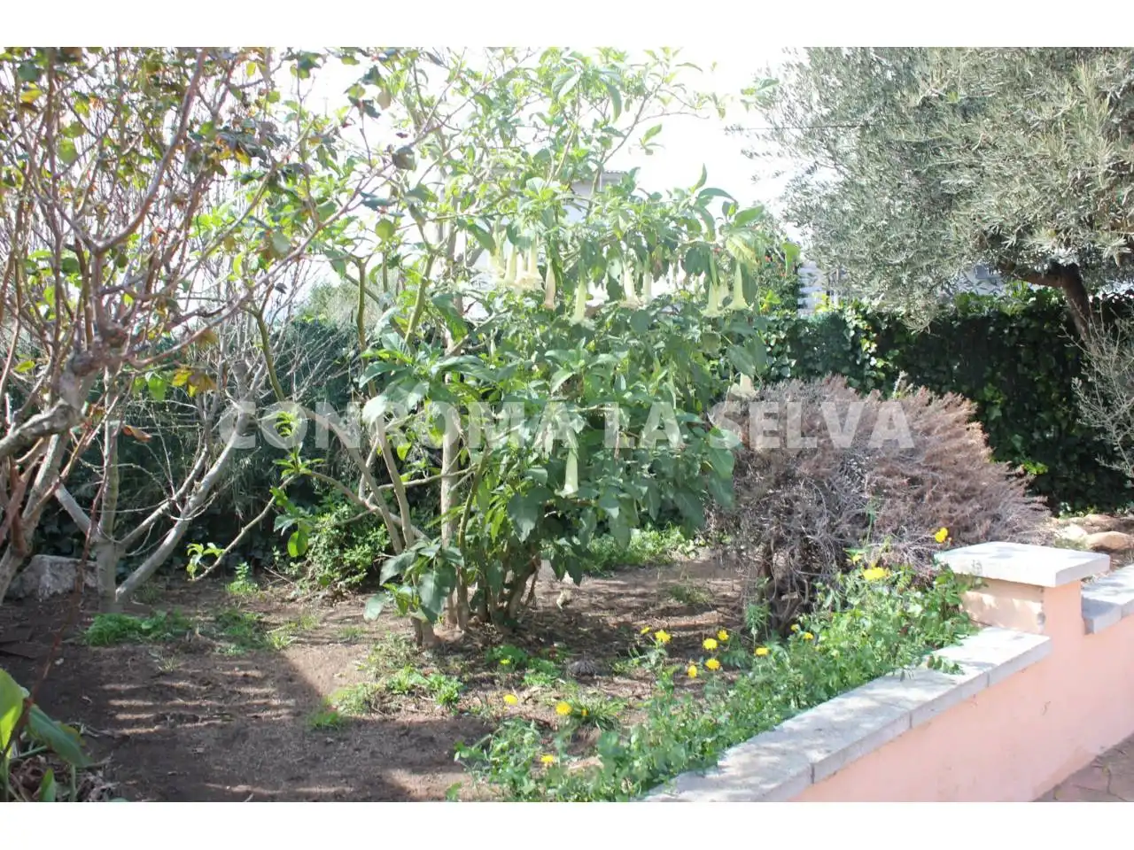 House with pool for sale in Calle Romaní, imagen 45