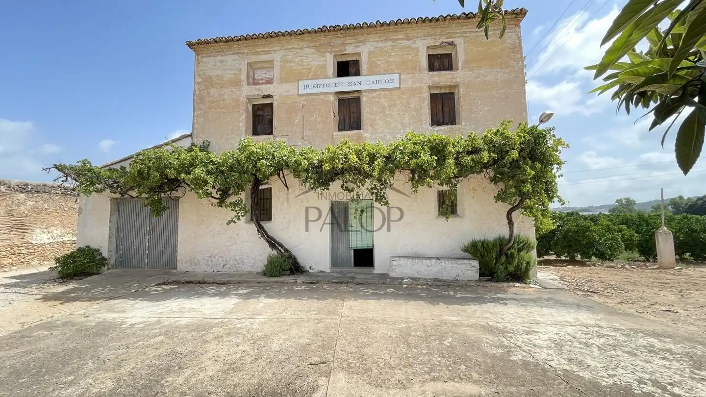 Vista exterior de Finca rústica en venda en Alzira