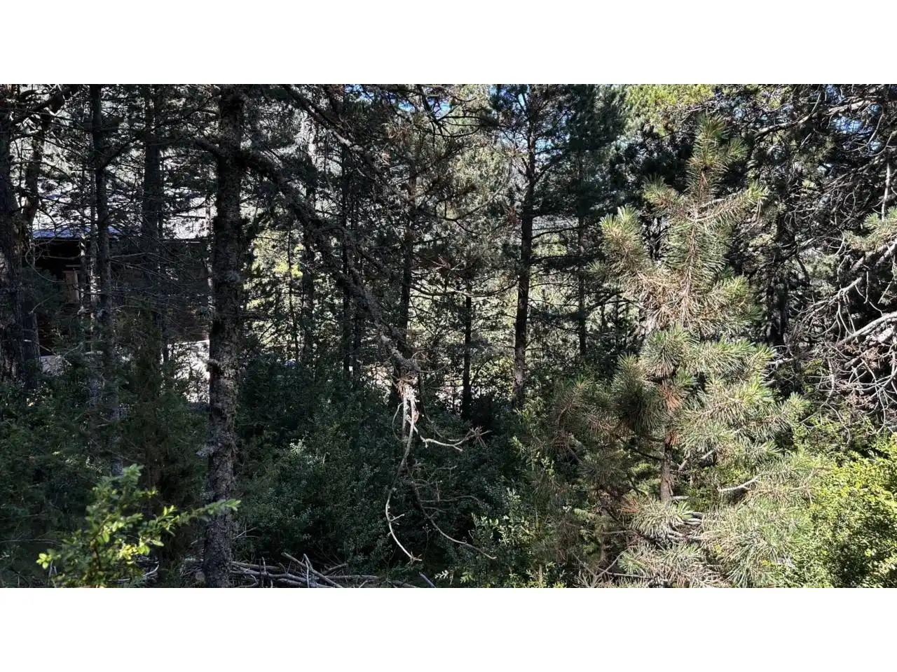 Rustikales Grundstück zum Verkauf in Calle Gat Mesquer 4, imagen 8