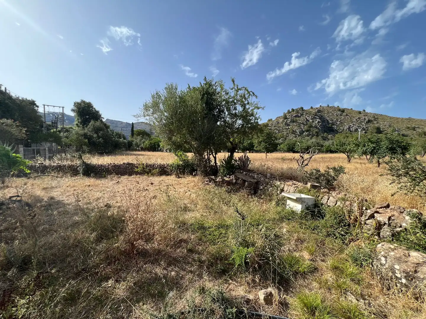 Casa in vendita a Pollença Poble, imagen 6