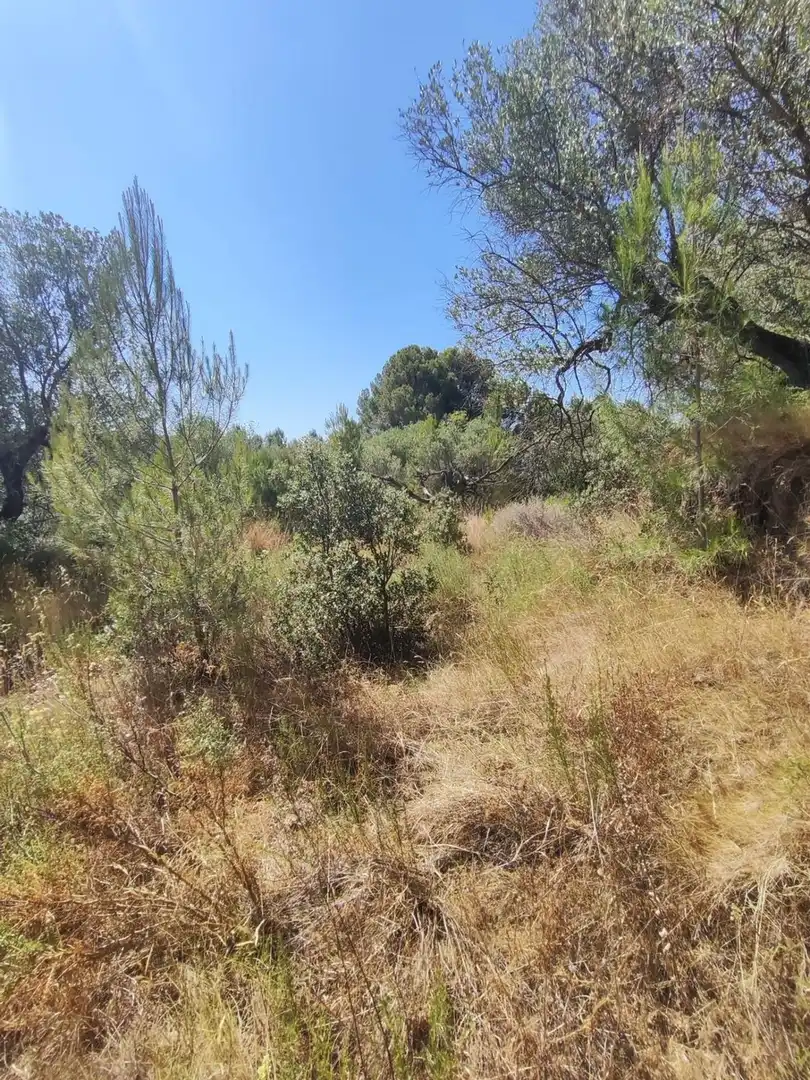 Terreny residencial en venda a T-704 2, imagen 8
