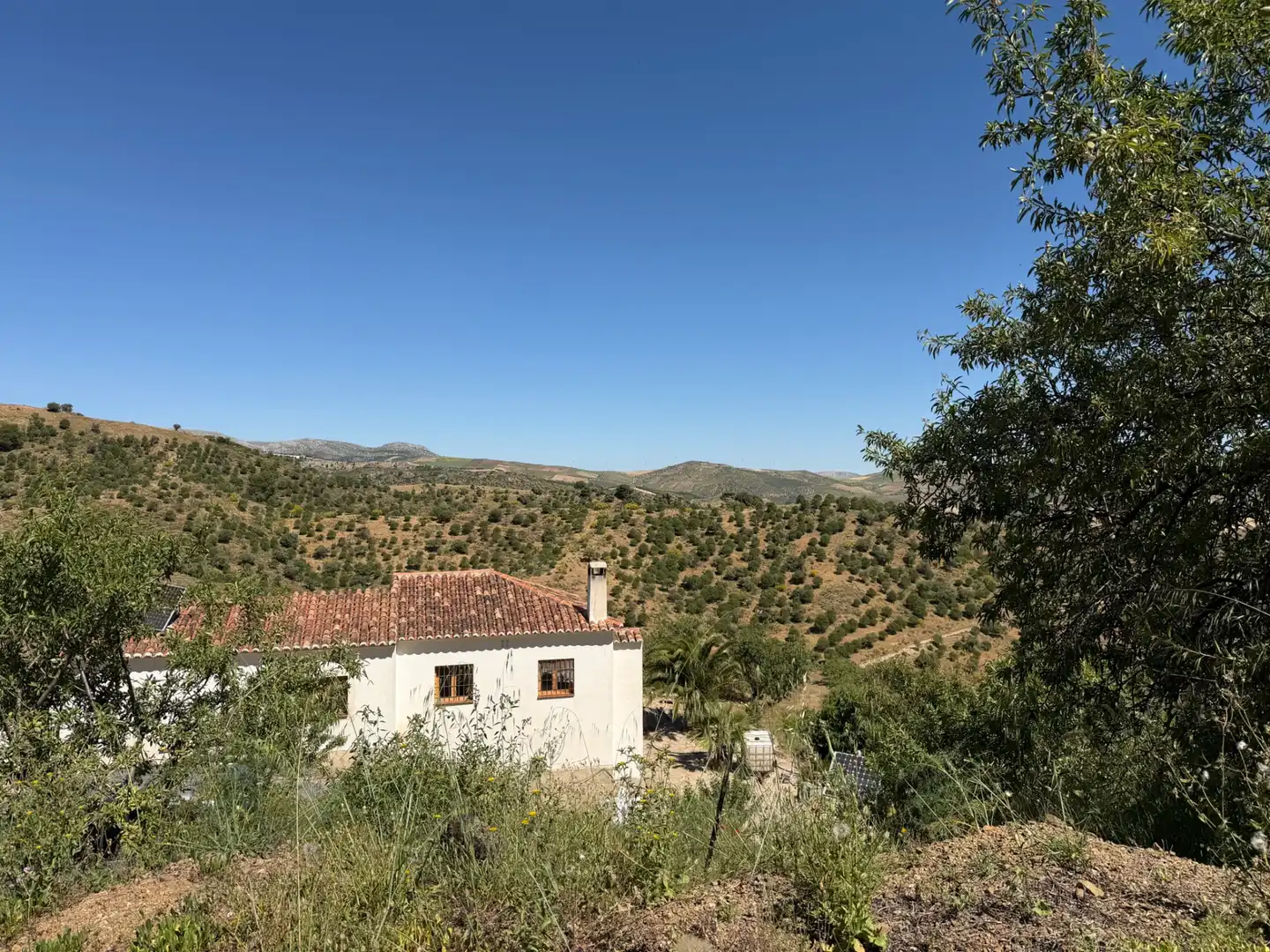 Vista exterior de Finca rústica en venta en Ardales con Jardín privado, Terraza y Piscina